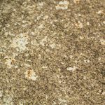 Kayori Hiyori brons 240x200/220 satijn 300tc