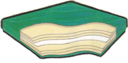 midi motion met 1 lumbar