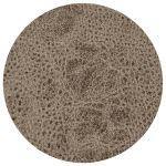 26 SAFARI 04 BUFFALO